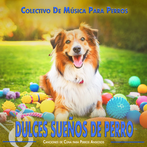 No Ladrar, Sólo Soñar