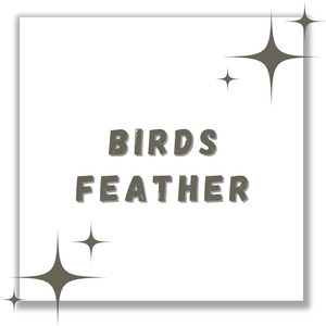Birds Feather (Remix)