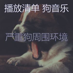 抚慰的小狗回忆