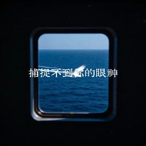 捕捉不到你的眼神