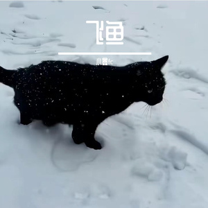 踏雪寻光逐梦行