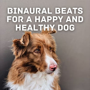 Binaural Bark Beat