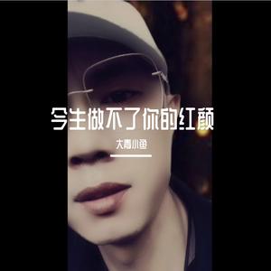 今生做不了你的红颜