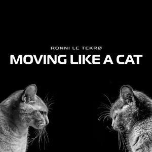 Moving Like a Cat