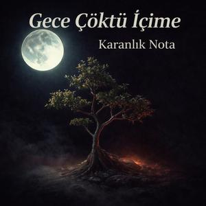 Gece Çöktü İçime
