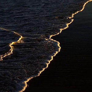 我讨厌这世界的许多