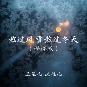 熬过风雪熬过冬天(释怀版)