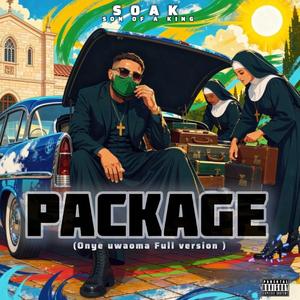 Package (Full version)