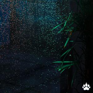 A lover and a friend at once