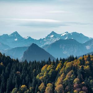 安静的雨滴 (阿尔法脑波音乐)