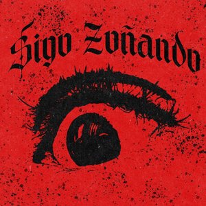 Sigo Zoñando