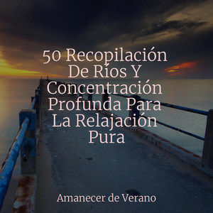 Los Ecos Congelados de la Imaginación