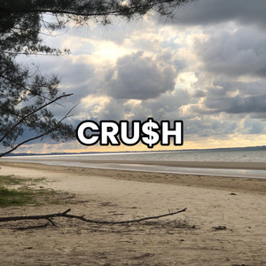PULIH
