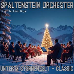 Unter'm Sternenzelt (Classic) (feat. The Länd Boys)