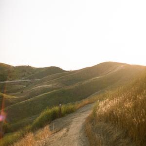 soft sirens (feat. Adam Pastor)