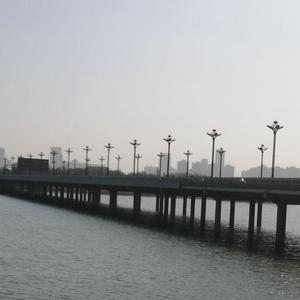 她总说（prodby Gr33nart）