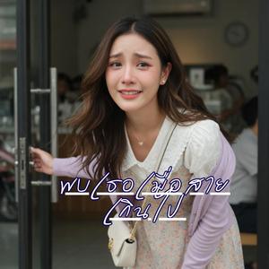 พบเธอเมื่อสายเกินไป