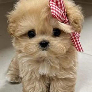 Getting There (slowed)