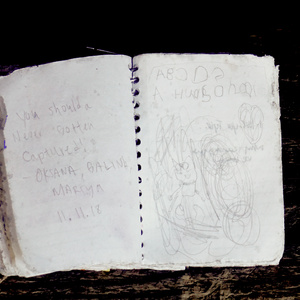 47°33'41.3"N | 122°37'31.7"W