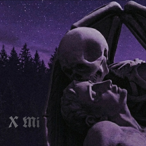 X Mi