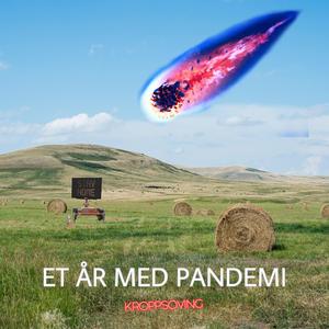 Et År Med Pandemi