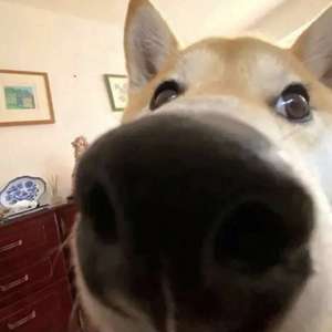 你要如何，我们就如何