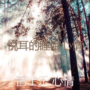 抚慰的睡眠回忆