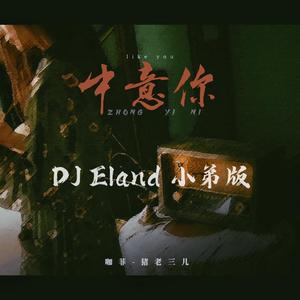 咖菲、猪老三儿 中意你 (DJEland 小弟版)