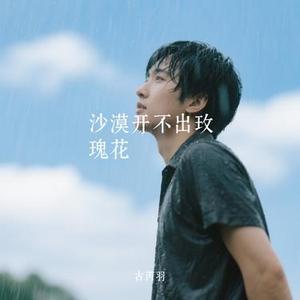 沙漠开不出玫瑰花 (Cover 刘书云)
