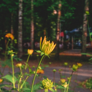 When You're Around I'm over Heaven