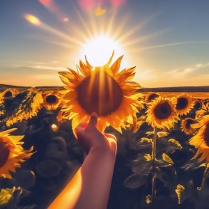 Солнце сияй