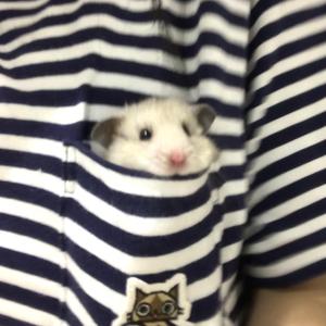 这一生关于你的风景（纯净男声版）