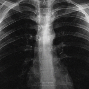 Если в сердце живет любовь