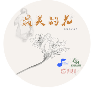最美的花（SSA云录制版）