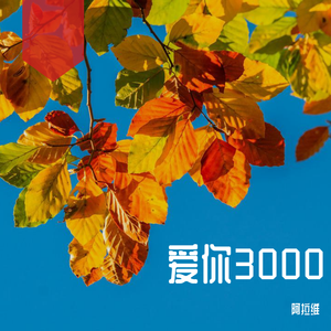 爱你3000