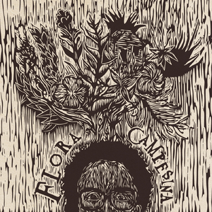 Cielo Campesino (feat. Arturito Santiago, José Eduardo Santana & Modesto Nieves)