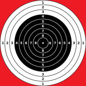 A shot from a machine gun