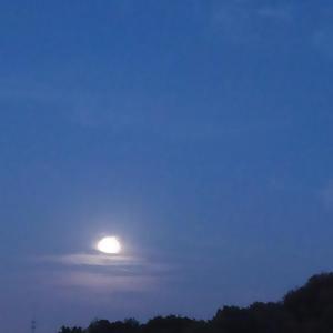 花粥-遥不可及的你（prod by T.A.）（Kirrys remix）