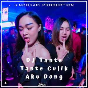DJ Tante Tante Culik Aku Dong Pargoy - INS
