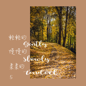 当风再吹起的时候_大自然风