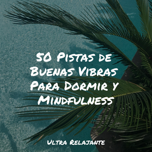 Sintetizadores De La Playa