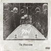 Stray - The Procession