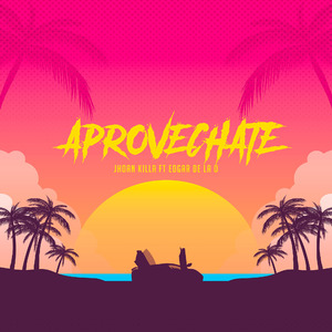 Aprovechate