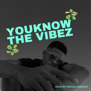 YOU KNOW THE VIBEZ