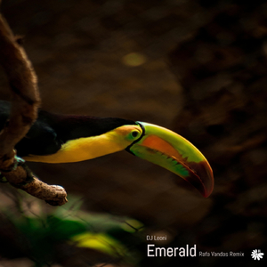 Emerald (Rafa Vandas Remix)