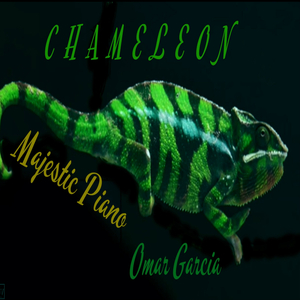 Chameleon
