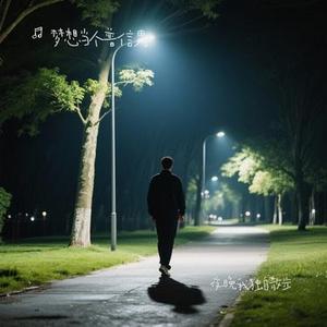 夜晚我独自散步