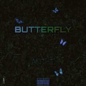 巴特弗莱 BUTTERFLY