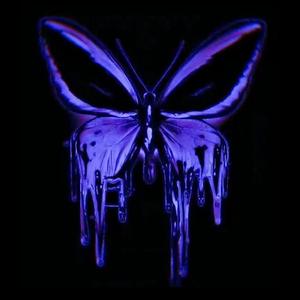 夏至端午我们&爱与唉（向往绝对自由的两只鸟儿带着信念飞到对方窗台传递思念·留恋的灵魂）