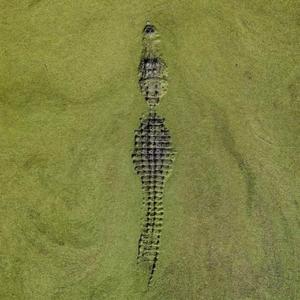 天若有情(男版)